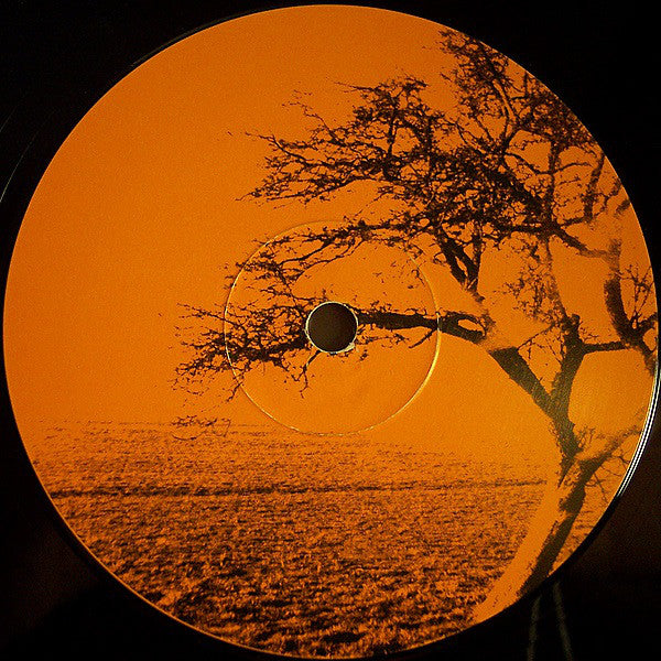 LoSoul : Open Door (12")