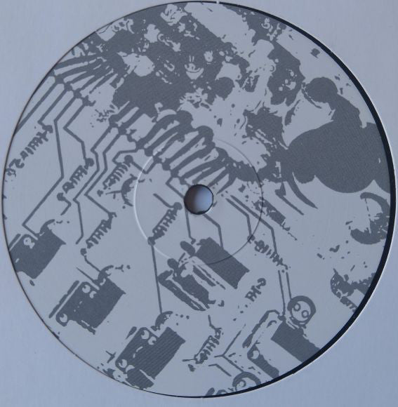 Type-303 : Ghost In The 303 (12")