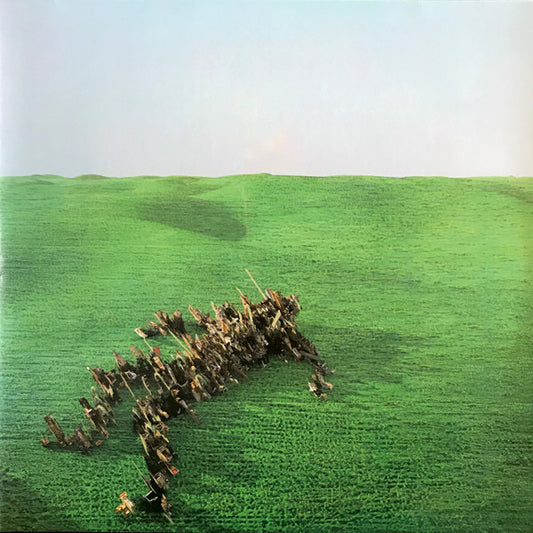 Squid (29) : Bright Green Field (2xLP, Album)