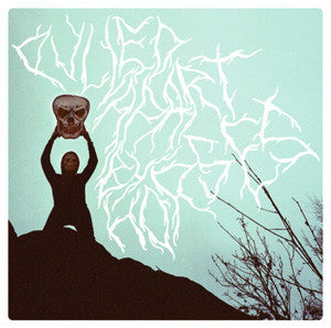 Pulled Apart By Horses : Pulled Apart By Horses (LP, Album)