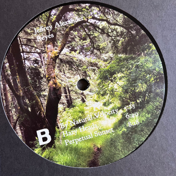 Jeffrey Alexander : Reyes (LP)