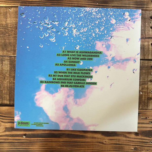 The Babe Rainbow : Slipper Imp And Shakaerator (LP, Album, Bla)