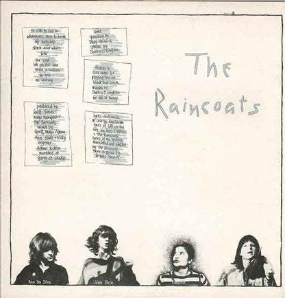 The Raincoats : The Raincoats (LP, Album)