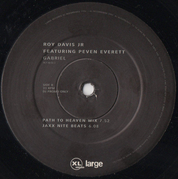 Roy Davis Jr* Featuring Peven Everett : Gabriel (12", Promo)