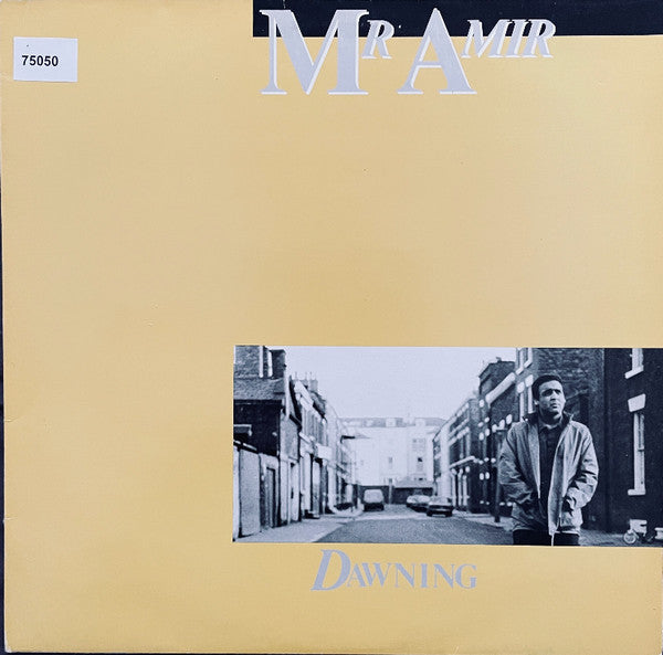 Mr Amir : Dawning (LP, Album)