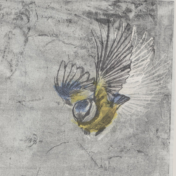 Mésange : Heliotrope (12", Album)