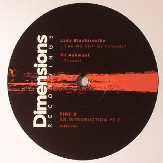 Various : An Introduction Pt 2 (12", Comp)