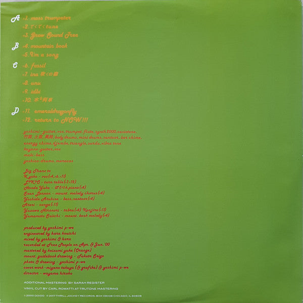 OOIOO : Gold & Green (2xLP, Album)
