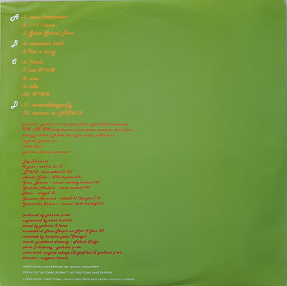 OOIOO : Gold & Green (2xLP, Album)