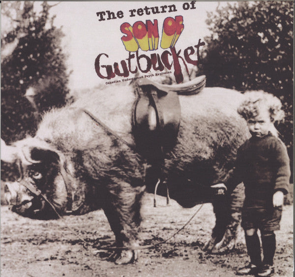 Various : The Return Of Son Of Gutbucket (LP, Comp, Ltd, Mix)