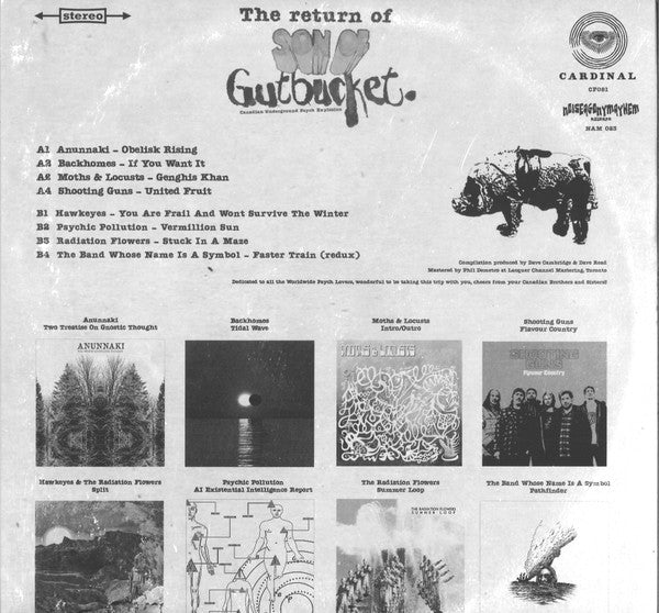 Various : The Return Of Son Of Gutbucket (LP, Comp, Ltd, Mix)