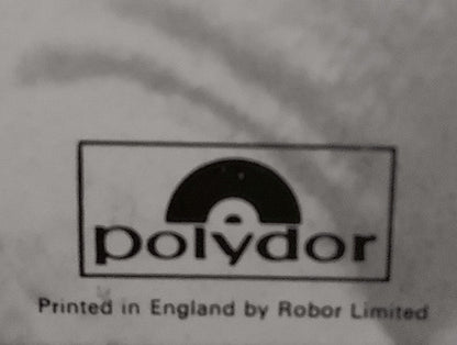 Fripp & Eno : Evening Star (LP, Album, RE)