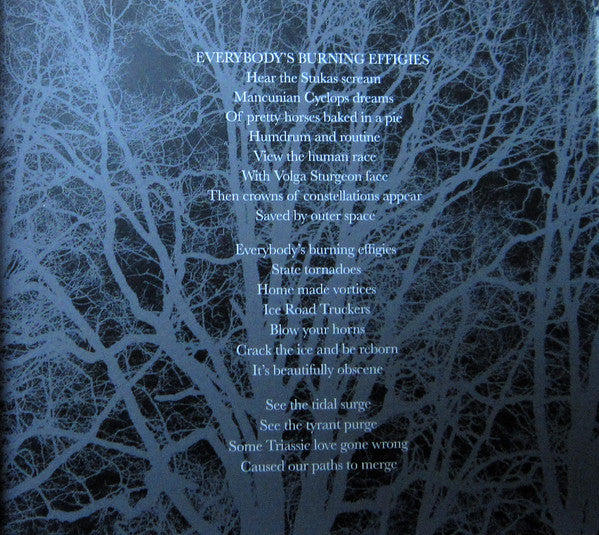 Nathan Hall And The Sinister Locals : Effigies (2xCD, Album, Ltd)