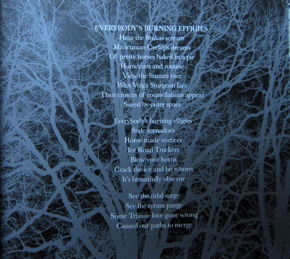 Nathan Hall And The Sinister Locals : Effigies (2xCD, Album, Ltd)