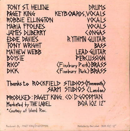 Tribesman (2) : Finsbury Park / The Tribe (12", Pic)