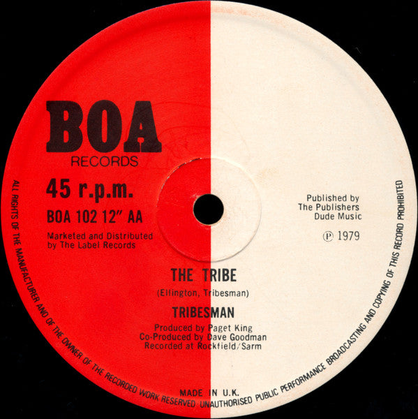 Tribesman (2) : Finsbury Park / The Tribe (12", Pic)