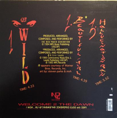 The NPG* : Get Wild - The Single (12", Single)