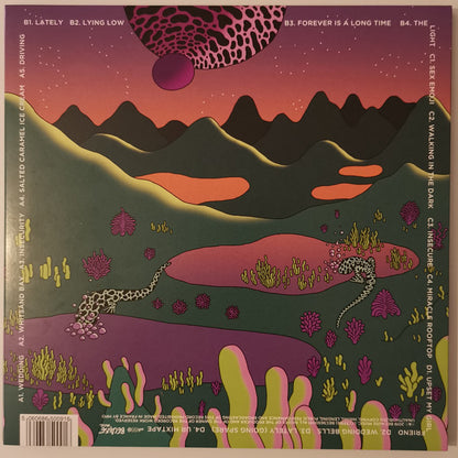 Metronomy : Metronomy Forever (2xLP, Album, Dlx, Ora + 12", Gre)