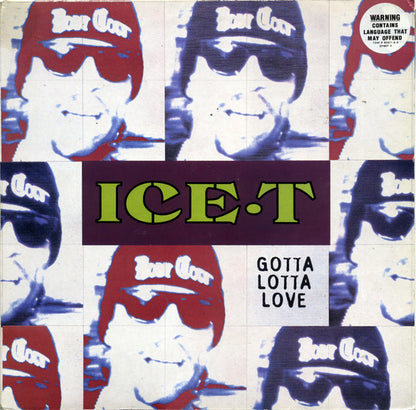 Ice-T : Gotta Lotta Love (12", Single, Pos)