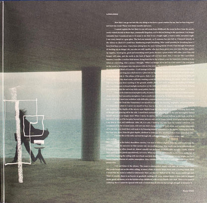 Hania Rani : Home (2xLP, Album, Ltd, Cle)