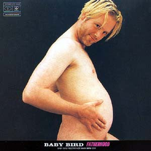 Baby Bird : Fatherhood (LP, Album)