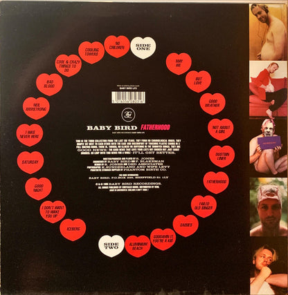 Baby Bird : Fatherhood (LP, Album)