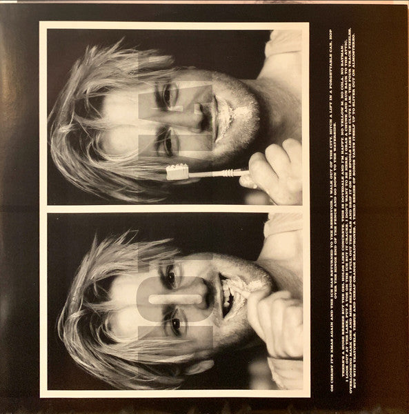 Baby Bird : Fatherhood (LP, Album)