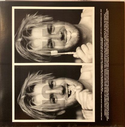Baby Bird : Fatherhood (LP, Album)