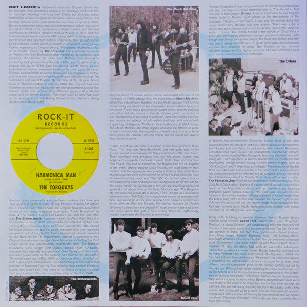 Various : Double Whammy! A 1960s Garage Rock Rave-Up (LP, RSD, Comp, Mono, Ltd, Blu)
