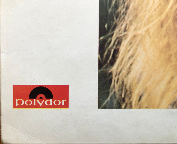 John Mayall : Empty Rooms (LP, Album)