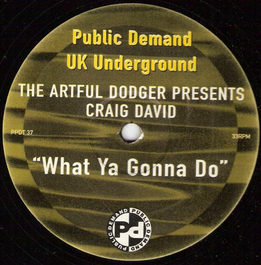 The Artful Dodger* Presents Craig David : What Ya Gonna Do (12")