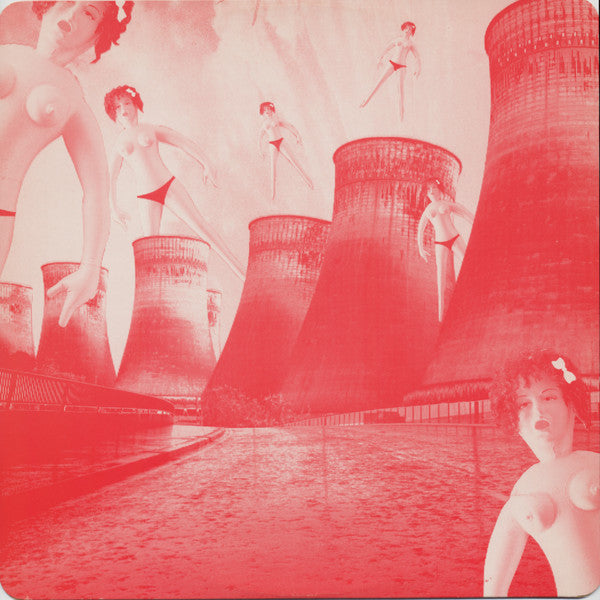 The Flys (2) : Waikiki Beach Refugees (LP, Album)