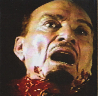 Blood Farmers : Permanent Brain Damage (CD, Album)