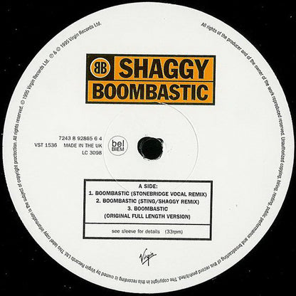 Shaggy : Boombastic (12", Single)