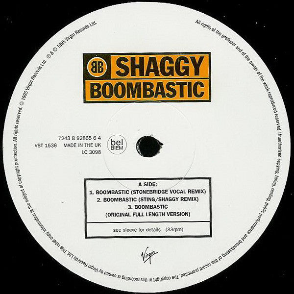 Shaggy : Boombastic (12", Single)