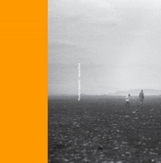 Portico Quartet / Hania Rani : Portico Quartet / Hania Rani (12", Ltd, Cle)