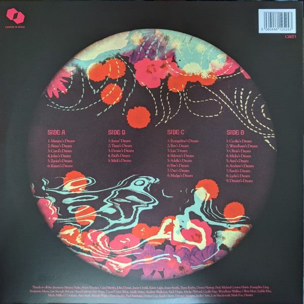 The Eccentronic Research Council : The Dreamcatcher Tapes Volumes 1 & 2 (2xLP, Pur)