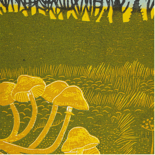 Rural Tapes : Rural Tapes (LP)