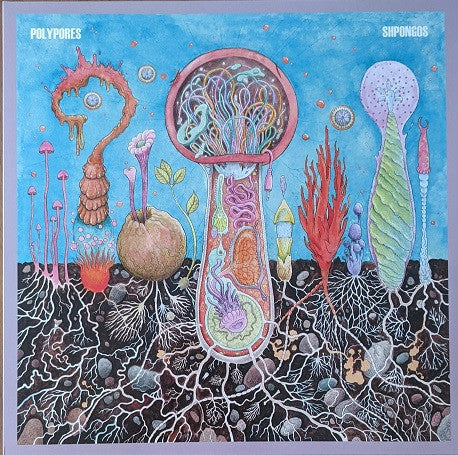 Polypores : Shpongos (LP, Album, Ltd, Orc)