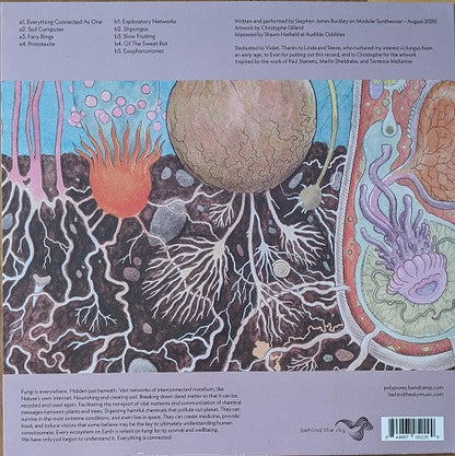 Polypores : Shpongos (LP, Album, Ltd, Orc)