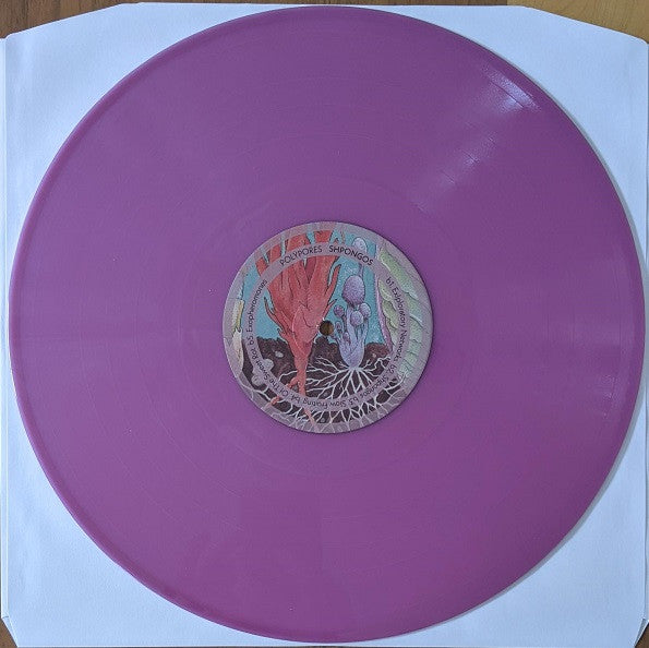 Polypores : Shpongos (LP, Album, Ltd, Orc)