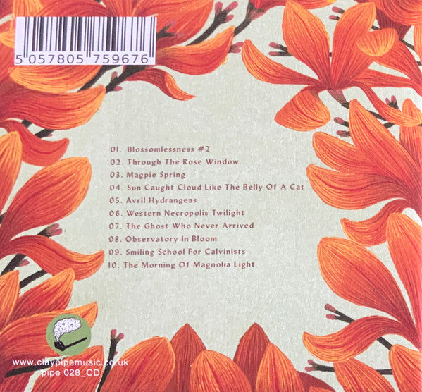 Andrew Wasylyk : Balgay Hill: Morning In Magnolia (CD, Album)