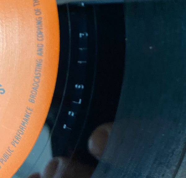 Ras Michael & The Sons Of Negus : Nyahbinghi (LP)