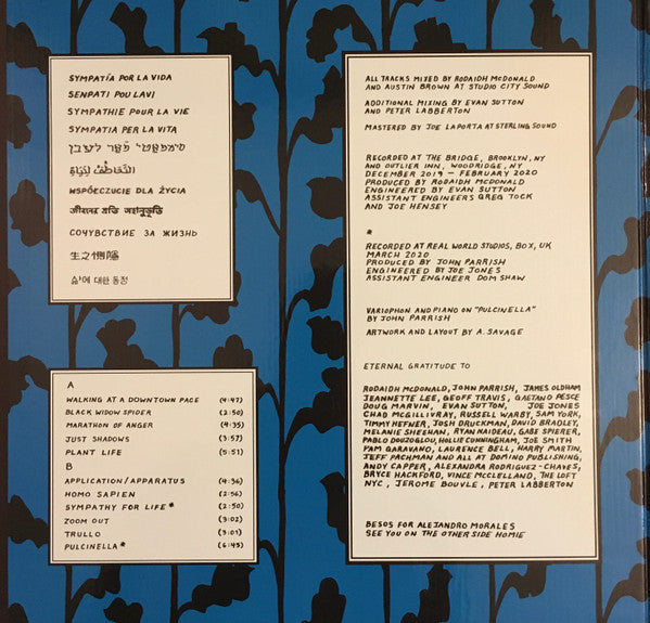 Parquet Courts : Sympathy For Life (LP, Album, S/Edition)