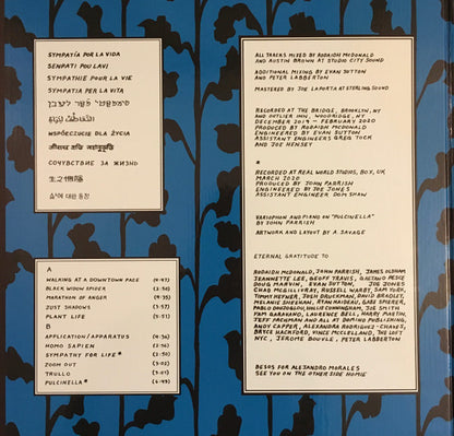 Parquet Courts : Sympathy For Life (LP, Album, S/Edition)