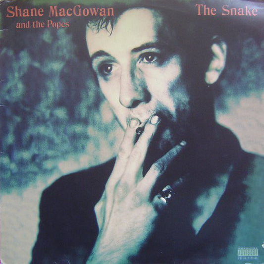 Shane MacGowan And The Popes : The Snake (LP, Album)
