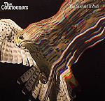 The Courteeners : You Overdid It Doll (7", Single)