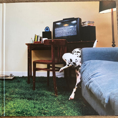 Rex Orange County : Who Cares? (LP, Album, Emb)