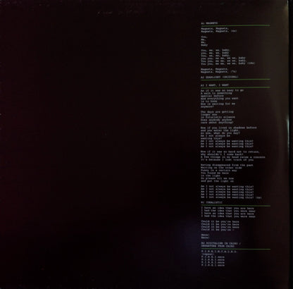 Digitalism : Idealism (2xLP, Album, Gat)