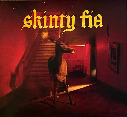 Fontaines D.C. : Skinty Fia (CD, Album)